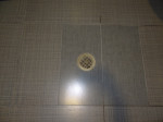 DSC00993