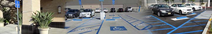 Parking and Passenger Loading Zones